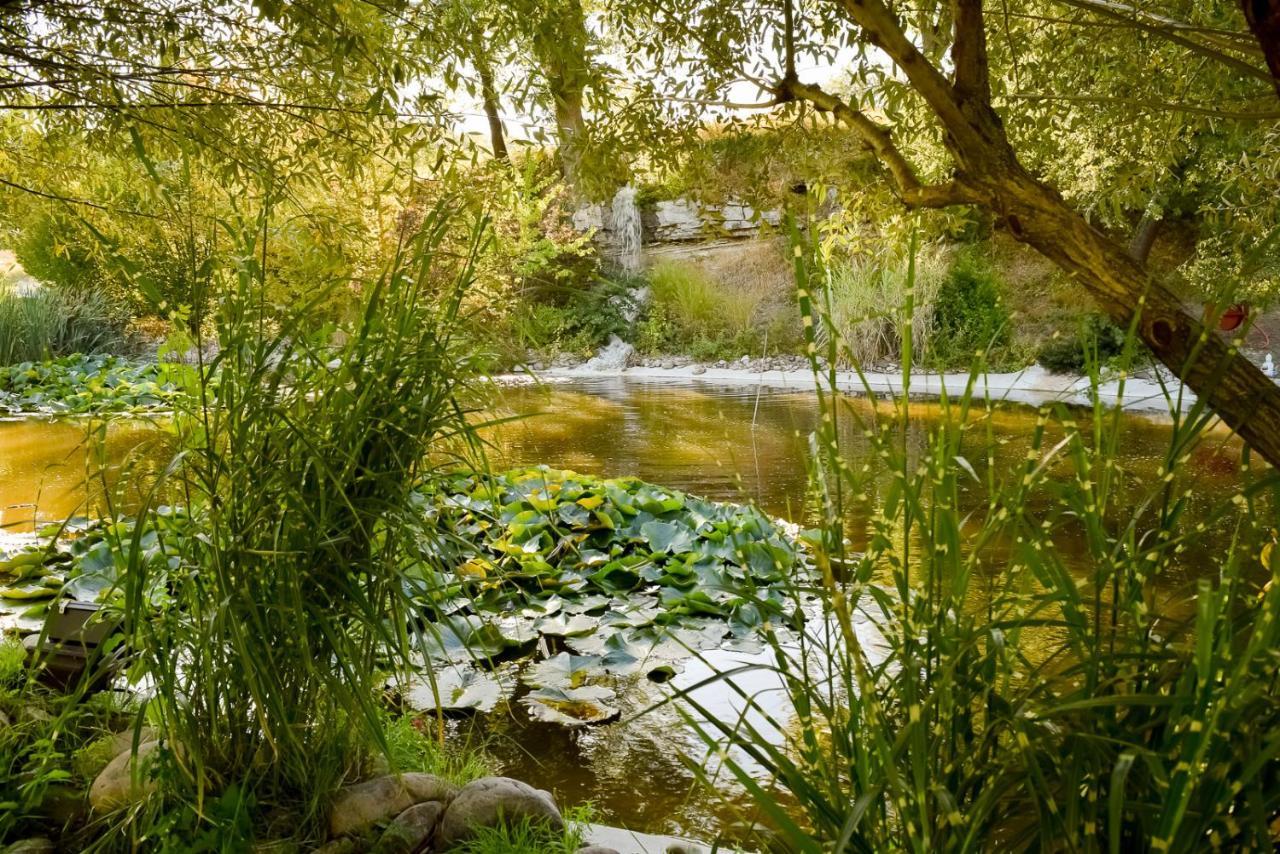 La Campagne St Lazare - Restaurant Chambres D'Hotes Piscine & Spa Forcalquier Eksteriør bilde