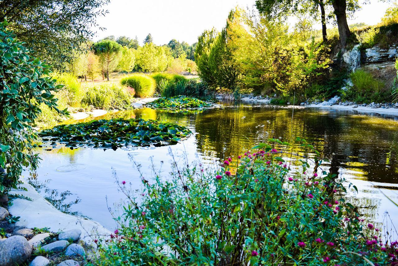 La Campagne St Lazare - Restaurant Chambres D'Hotes Piscine & Spa Forcalquier Eksteriør bilde